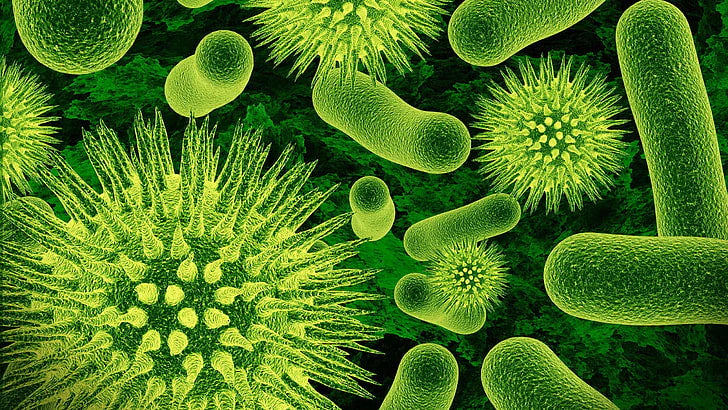 Exploring the World of DIY Mold Sampling: A Comprehensive Guide