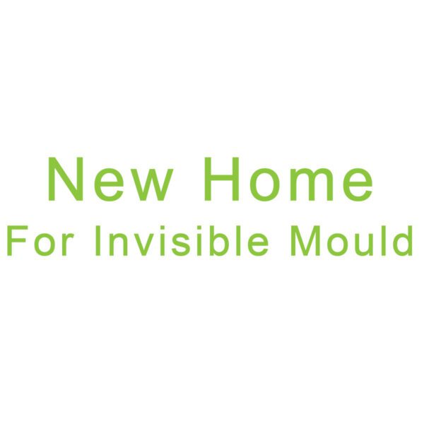 NEW HOME FOR INVISIBLE MOULD