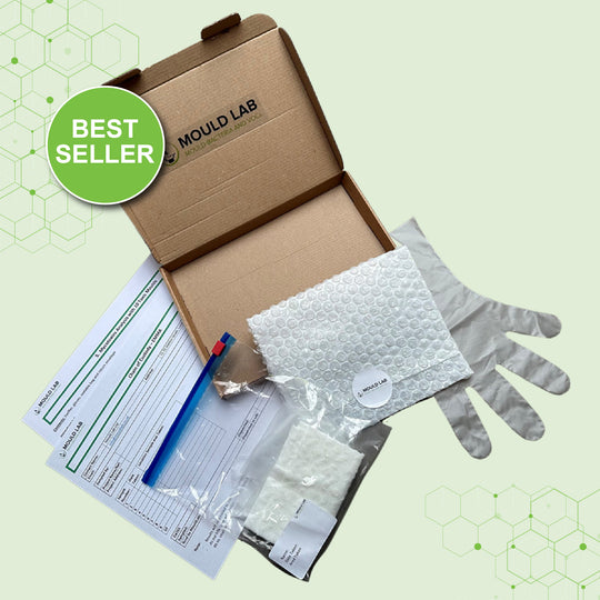 ERMI PLUS (ENVIRONMENTAL RELATIVE MOULDINESS INDEX) - DUST ANALYSIS FOR MOULD SPECIES INCLUDING FREE HERTSMI 2