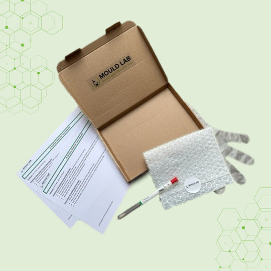 SURFACE SWAB FOR DNA ANALYSIS FOR THE PRESENCE OF TOXIGENIC MOULDS IN SETTLED DUST