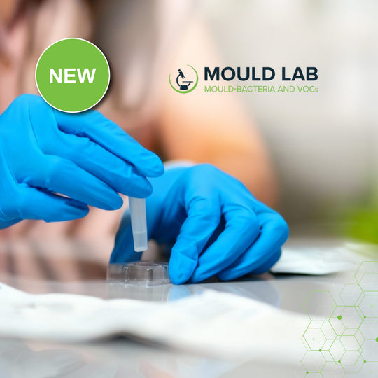 ActinoBacteria Skin Plus