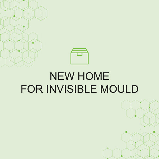 NEW HOME FOR INVISIBLE MOULD