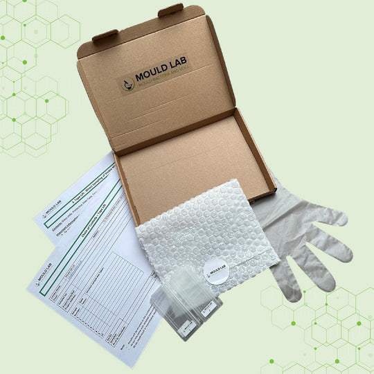 TAPE LIFT - DIRECT SAMPLING OF VISIBLE MOULD FOR GENUS IDENTIFICATION